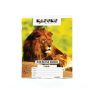 Kasuku A5 48 pages plain